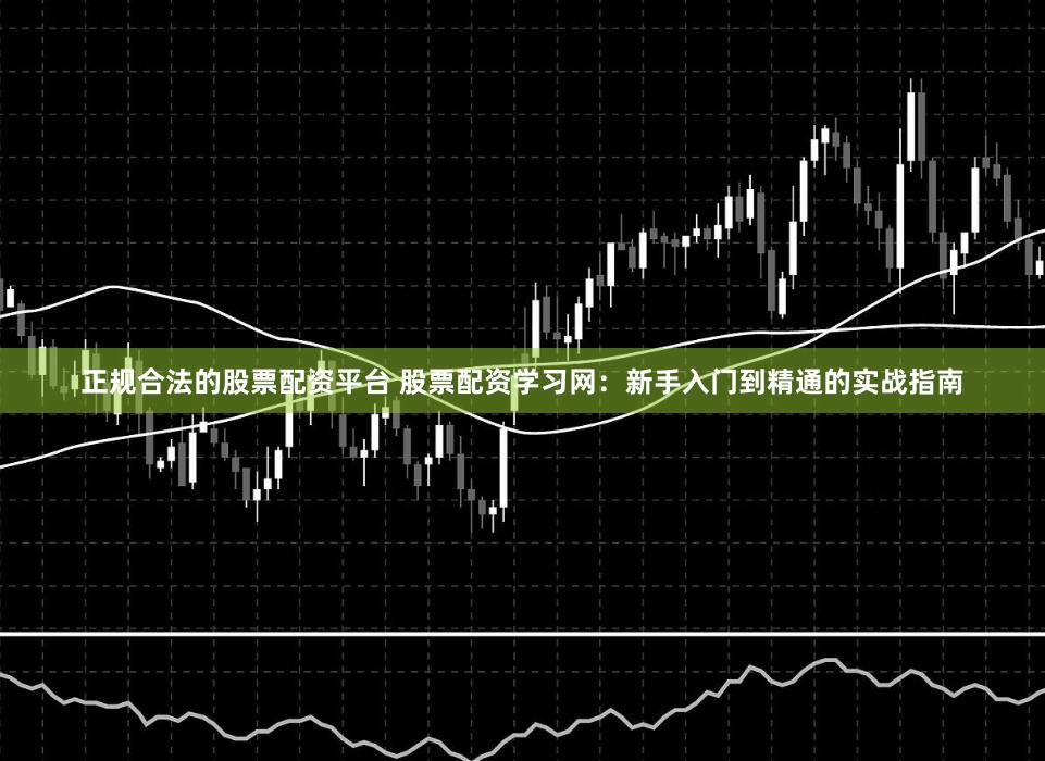 正规合法的股票配资平台 股票配资学习网:新手入门到精通的实战指南