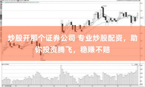 炒股开那个证券公司 专业炒股配资，助你投资腾飞，稳赚不赔