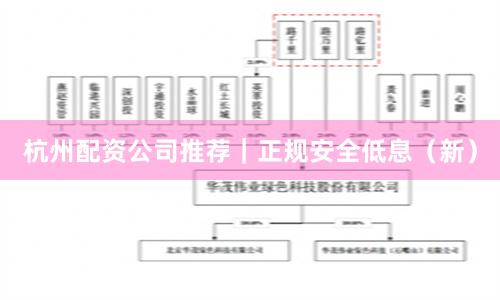 杭州配资公司推荐｜正规安全低息（新）